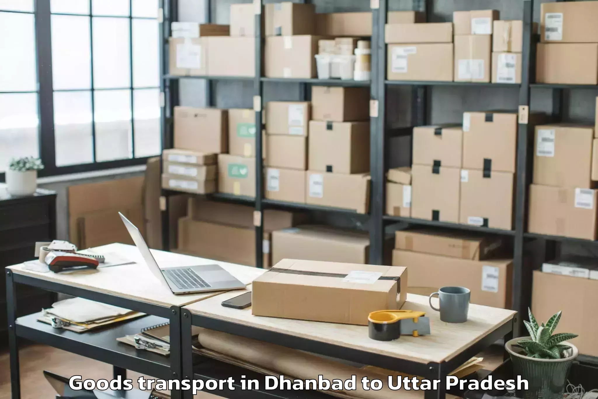 Professional Dhanbad to Naraini Goods Transport